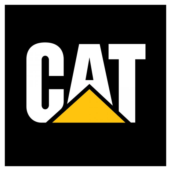 Caterpillar